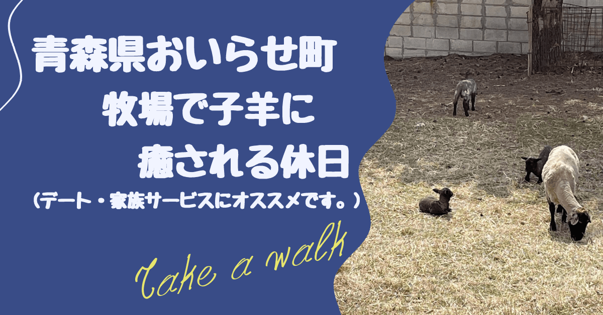 可愛い羊の赤ちゃんと少しリッチな牧場ランチを堪能してきた 青森県おいらせ町 カワヨグリーン牧場 ゆめねこブログ 可愛い羊の赤ちゃんと少しリッチな牧場ランチを堪能してきた 青森県おいらせ町 カワヨグリーン牧場 ゆめねこブログ